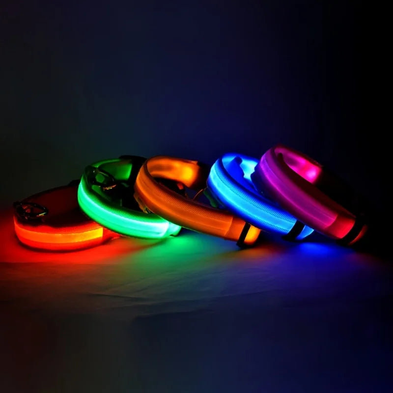 Glow-in-the-Dark LED Dog Leash – Night Safety Lead