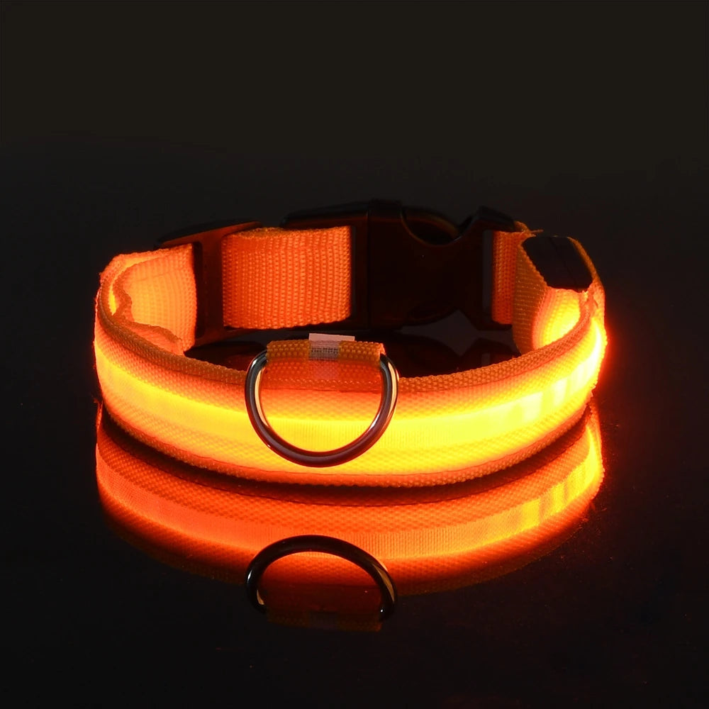 Glow-in-the-Dark LED Dog Leash – Night Safety Lead