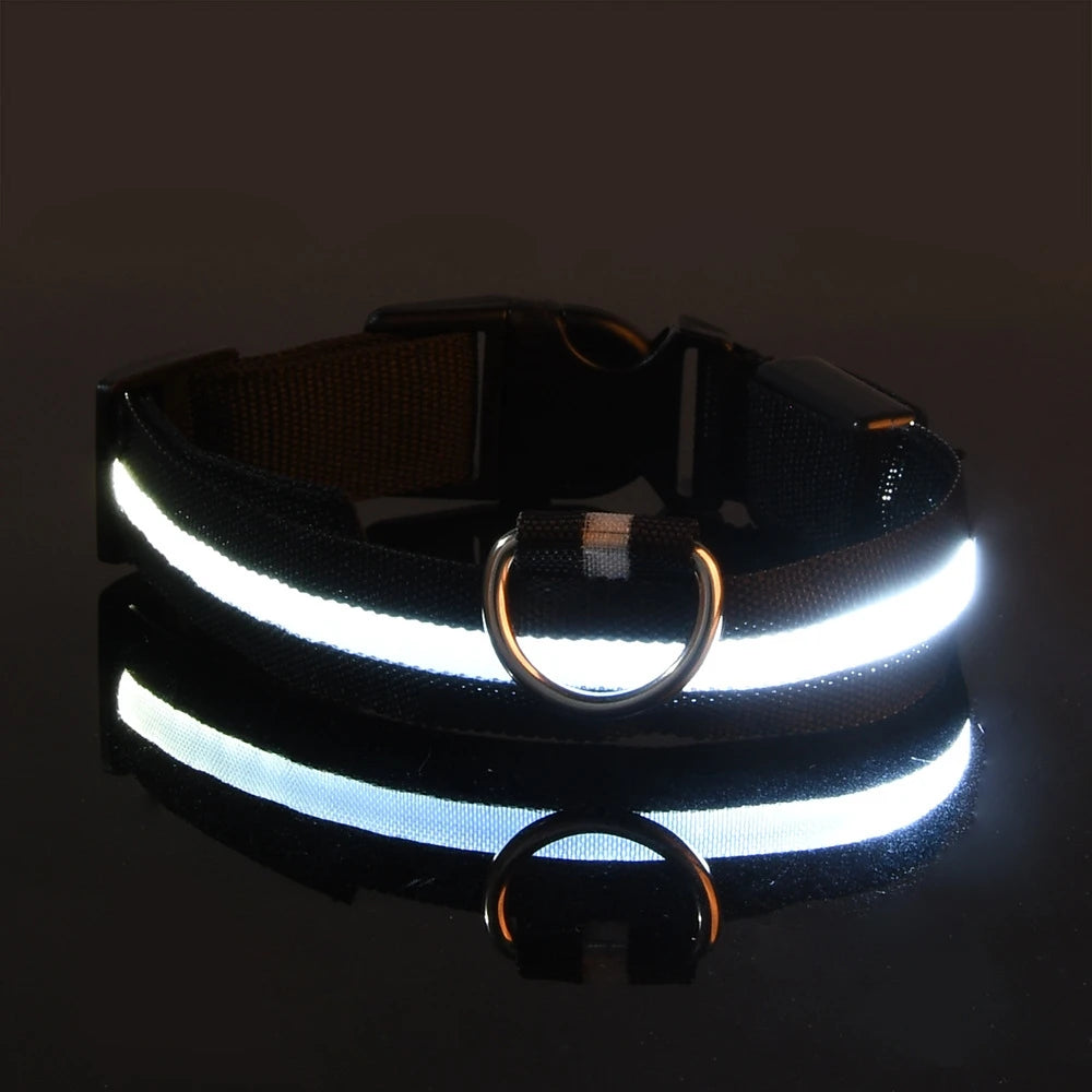 Glow-in-the-Dark LED Dog Leash – Night Safety Lead