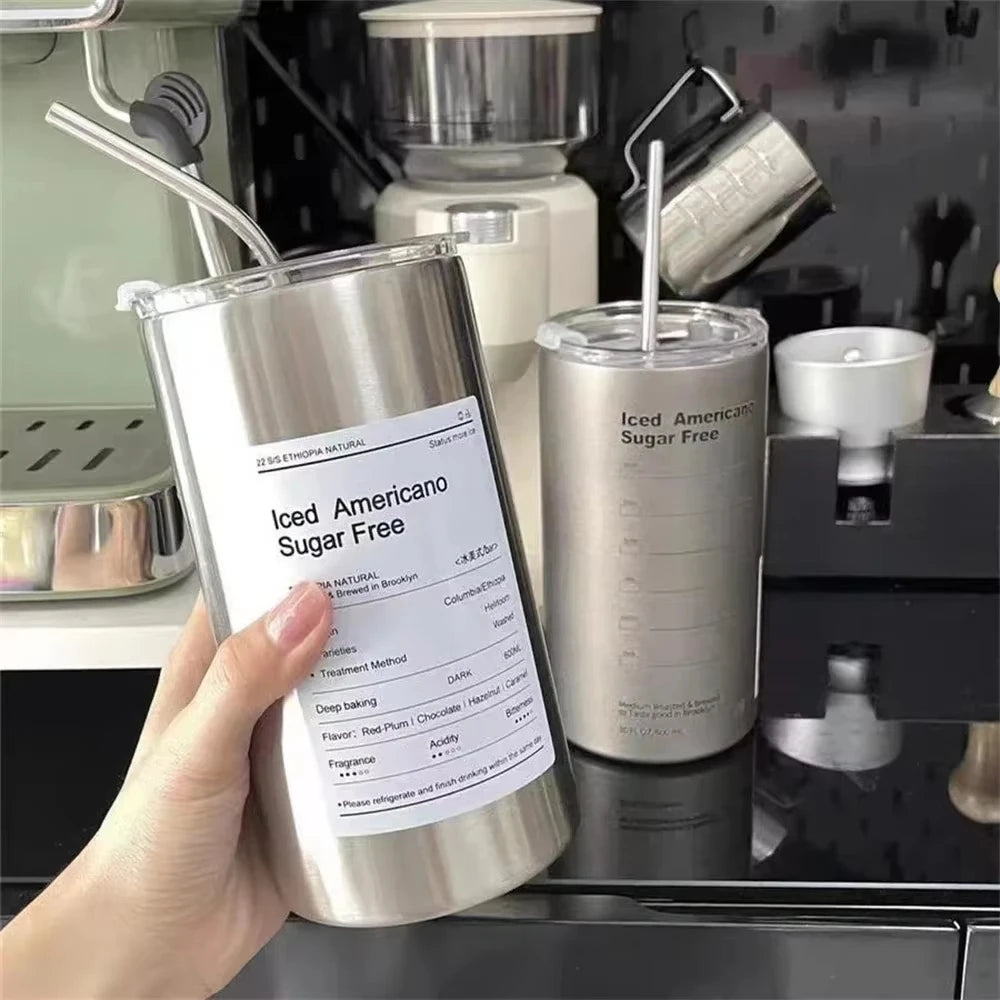 600 ml Insulated Tumbler with Straw – Stainless Steel Travel Cup