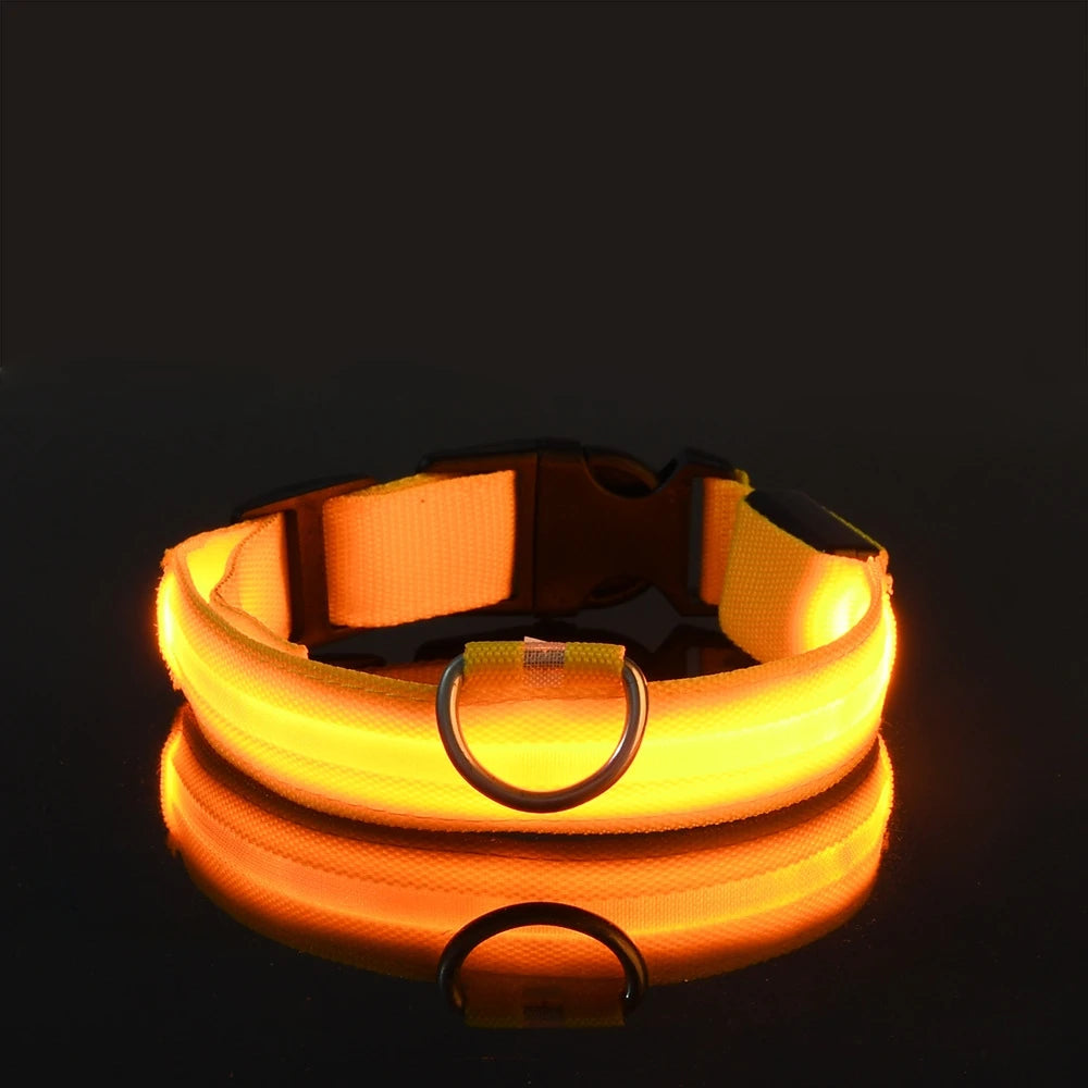 Glow-in-the-Dark LED Dog Leash – Night Safety Lead
