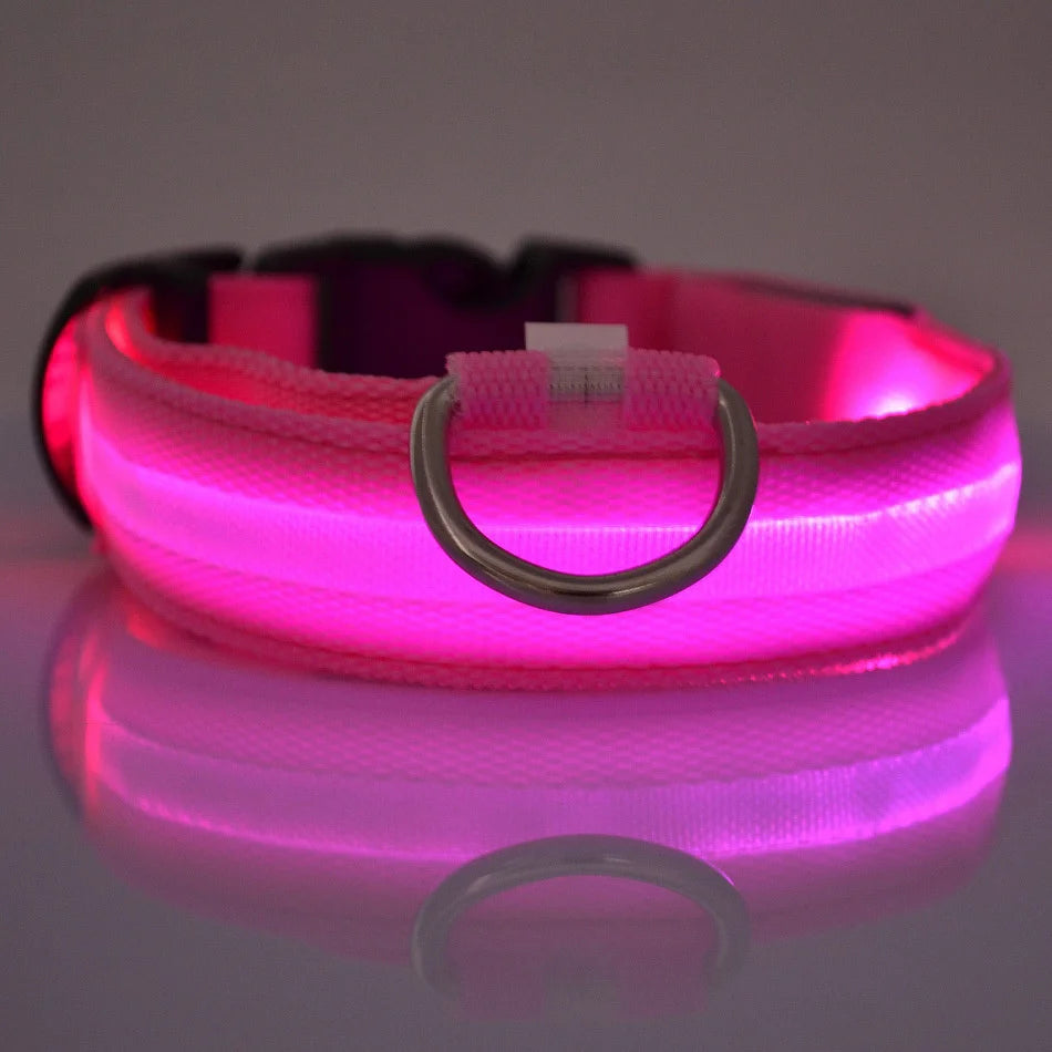 Glow-in-the-Dark LED Dog Leash – Night Safety Lead
