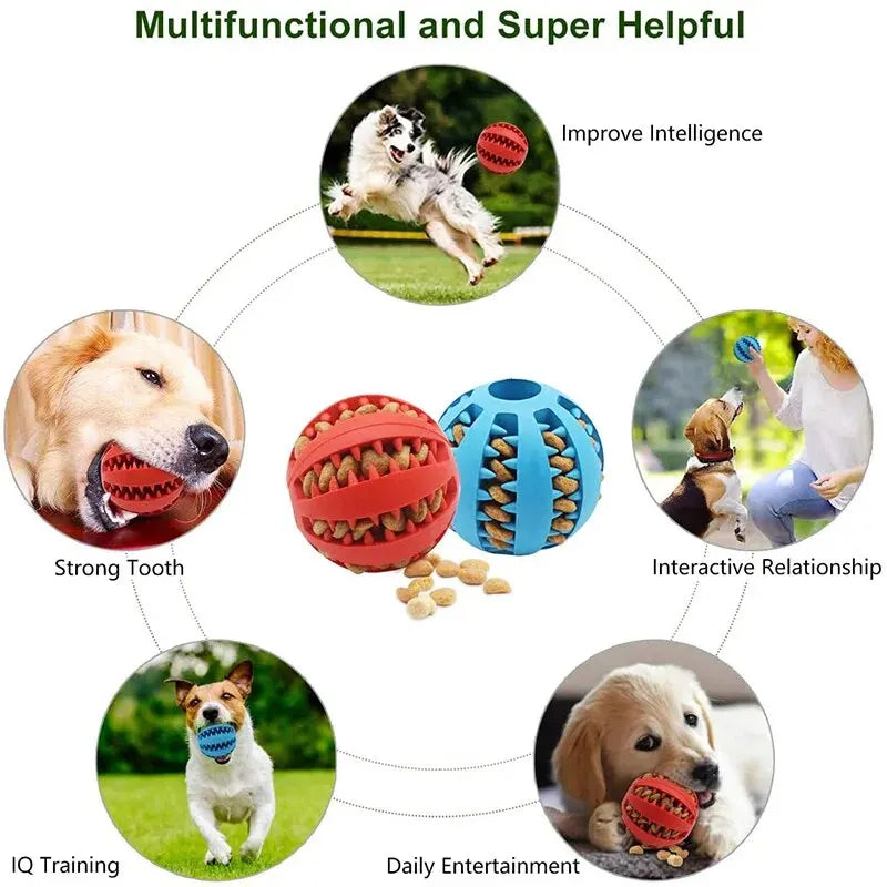 Bite-Resistant Dog Treat Ball – Chew & Feeder Toy