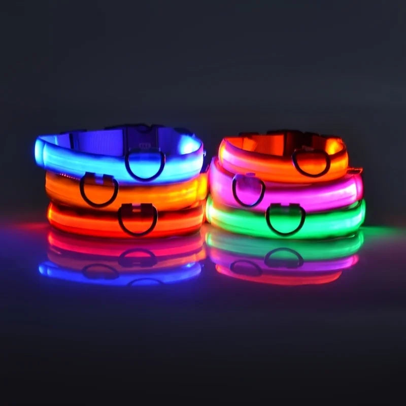 Glow-in-the-Dark LED Dog Leash – Night Safety Lead