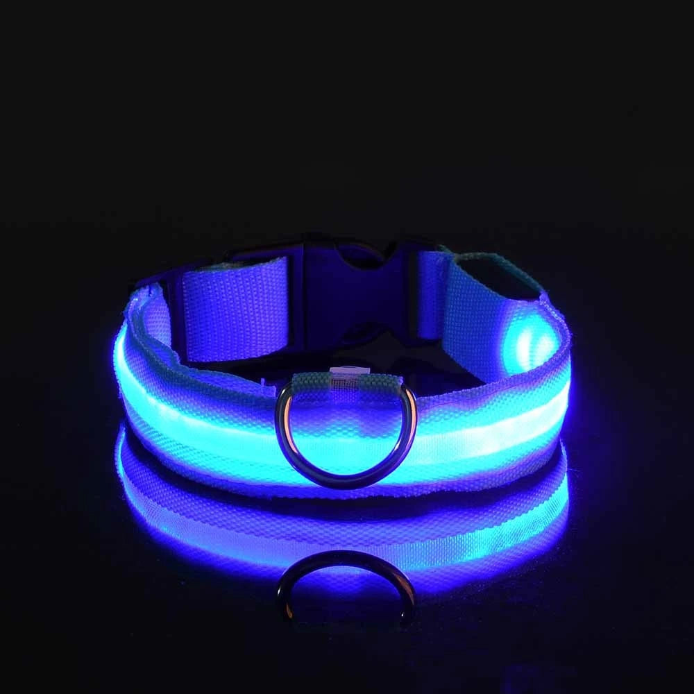 Glow-in-the-Dark LED Dog Leash – Night Safety Lead
