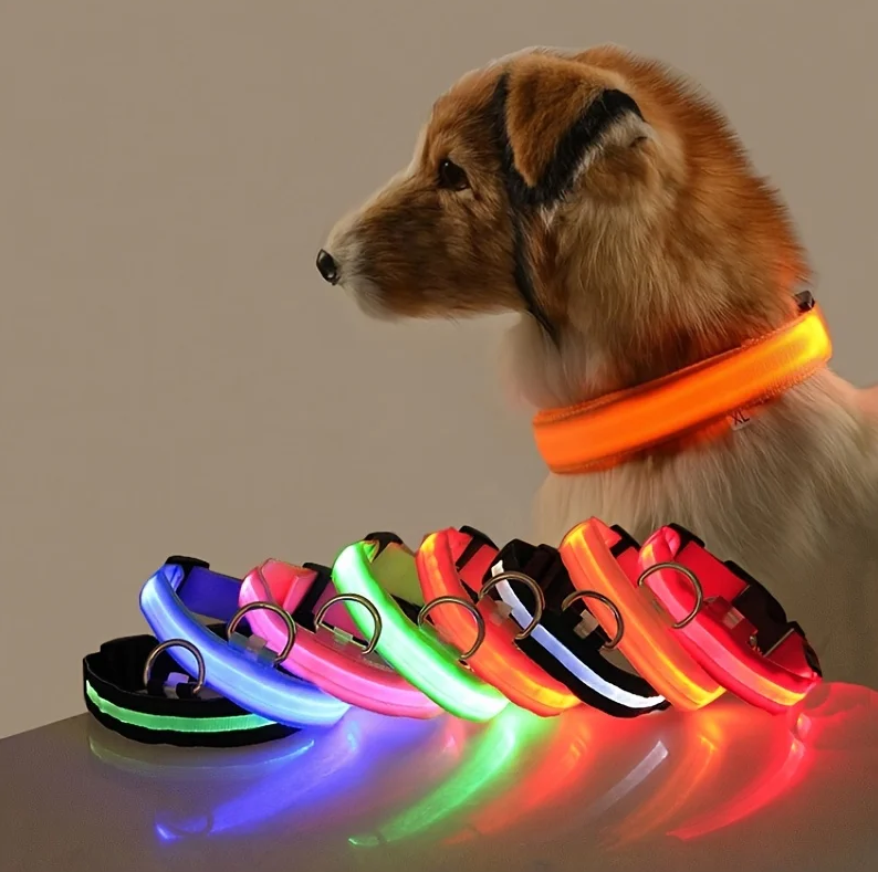 Glow-in-the-Dark LED Dog Leash – Night Safety Lead