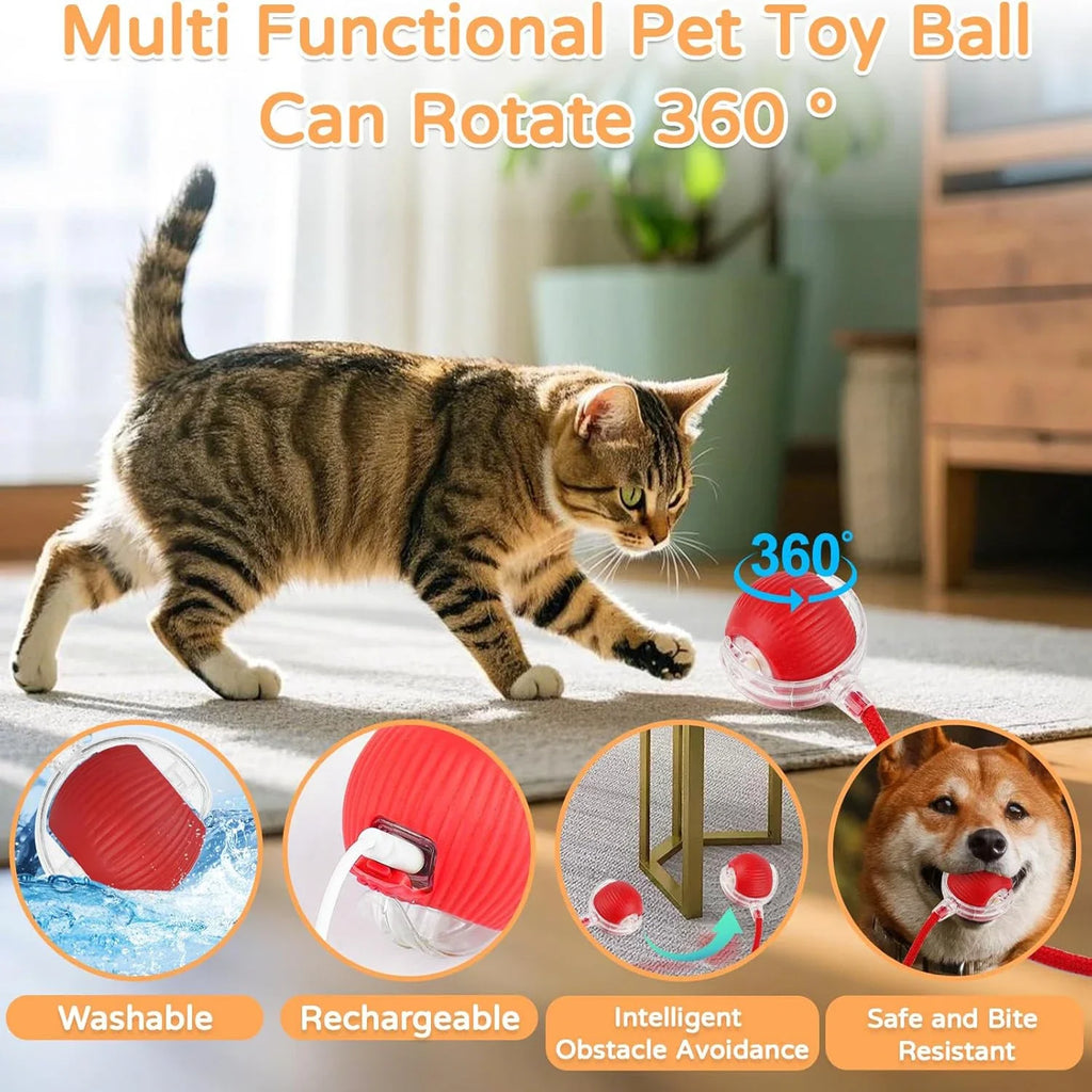 Automatic Rolling Cat Ball with Tail – Rechargeable Interactive Toy