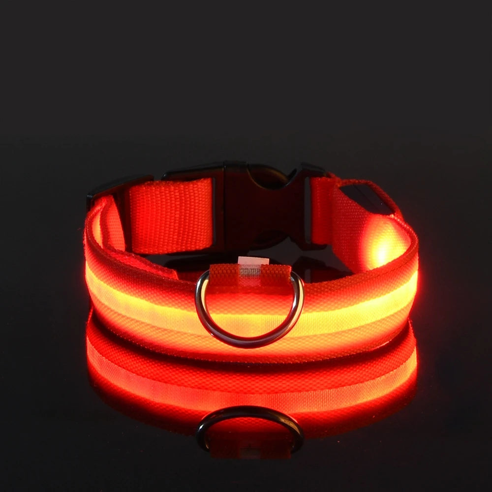 Glow-in-the-Dark LED Dog Leash – Night Safety Lead