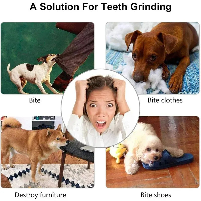 Bite-Resistant Dog Treat Ball – Chew & Feeder Toy