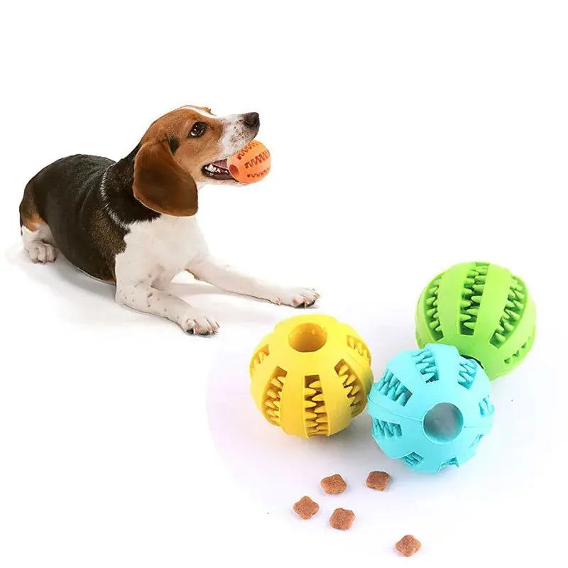 Bite-Resistant Dog Treat Ball – Chew & Feeder Toy