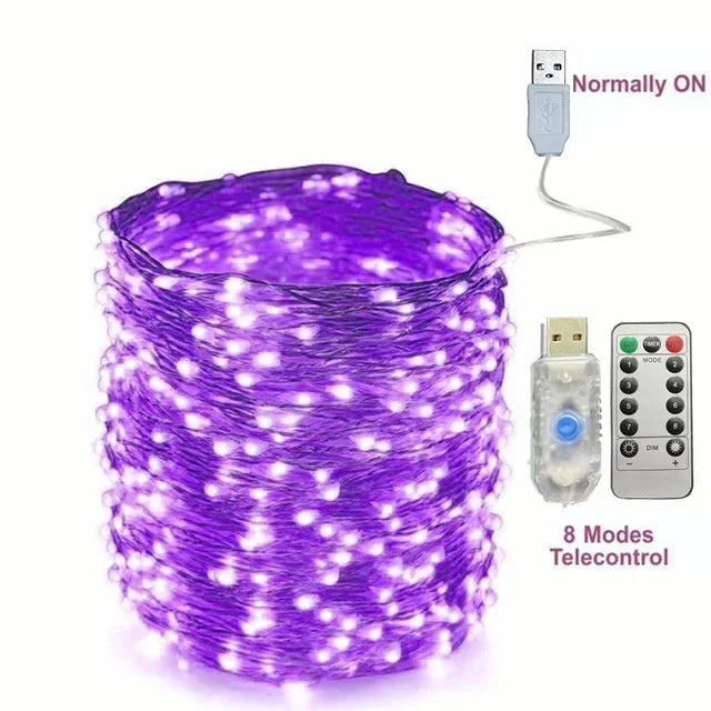 Copper Wire LED String Lights with Remote – 8 Modes, USB