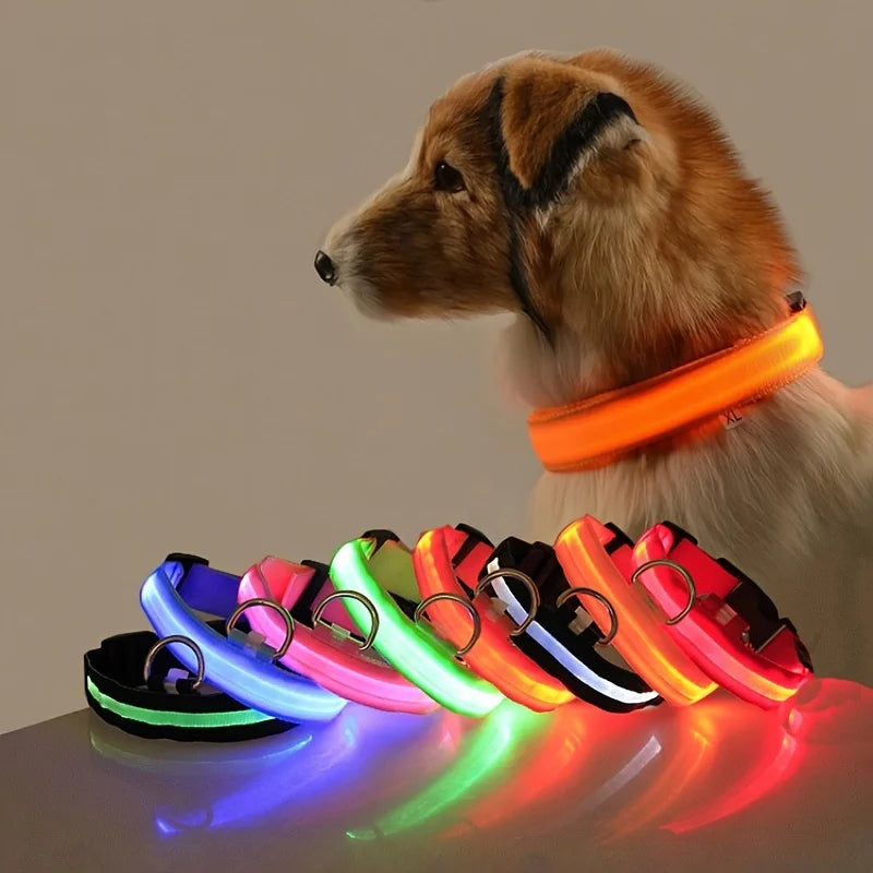 Glow-in-the-Dark LED Dog Leash – Night Safety Lead