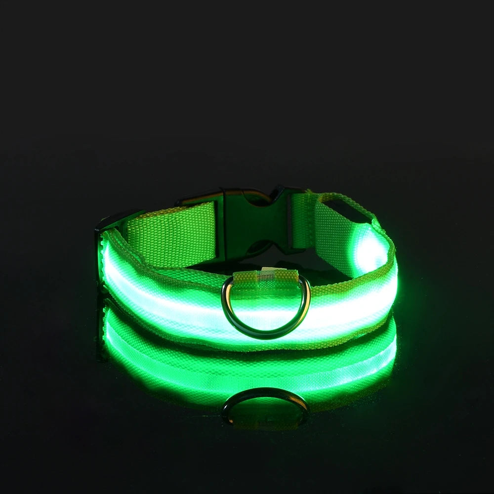 Glow-in-the-Dark LED Dog Leash – Night Safety Lead