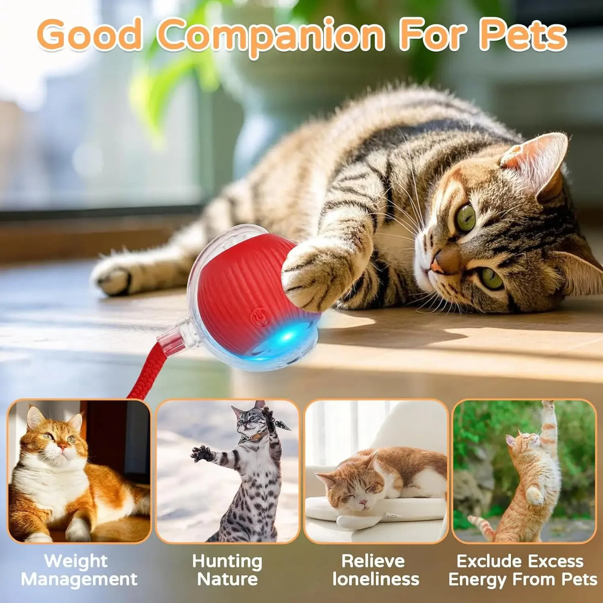 Automatic Rolling Cat Ball with Tail – Rechargeable Interactive Toy