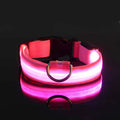 Glow-in-the-Dark LED Dog Leash – Night Safety Lead