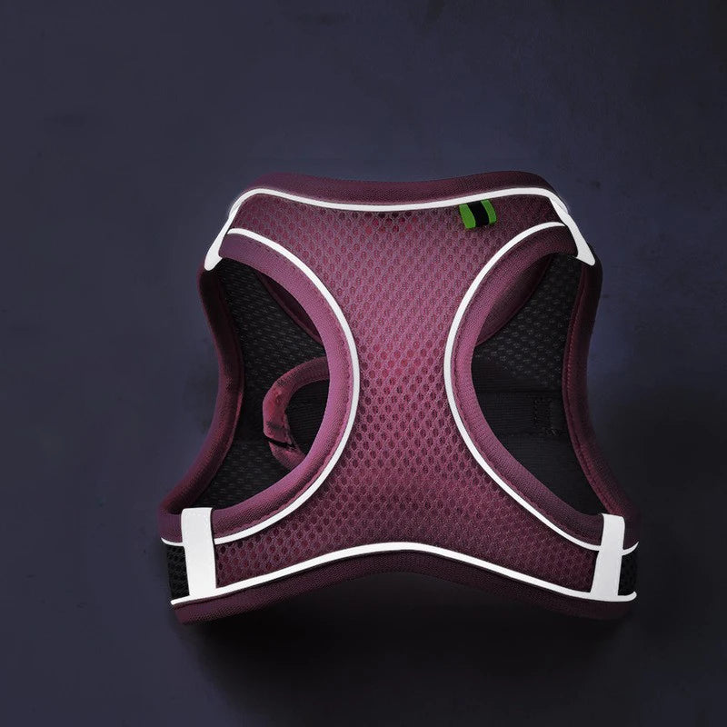 Reflective Dog & Cat Harness Vest with Leash