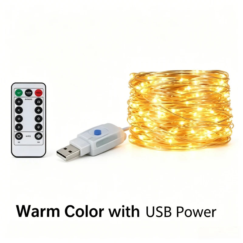 USB LED Fairy Lights with Remote – 8 Modes Christmas String Lights